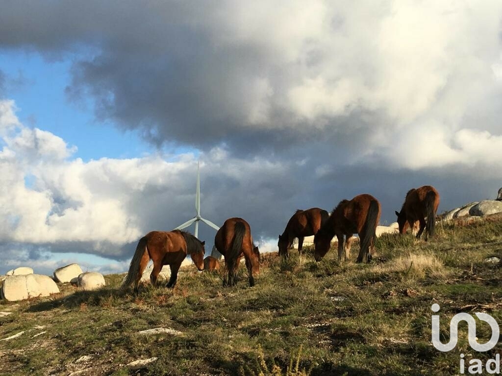 Moradia T5 à venda em Mosteiro, Vieira do Minho — foto 24