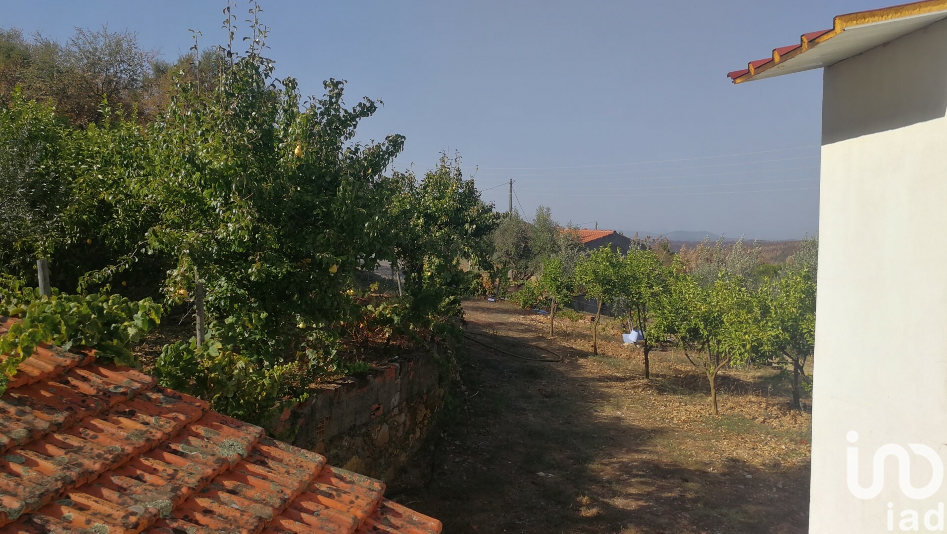 Moradia T4 à venda em Montes da Senhora, Proença-a-Nova — foto 24