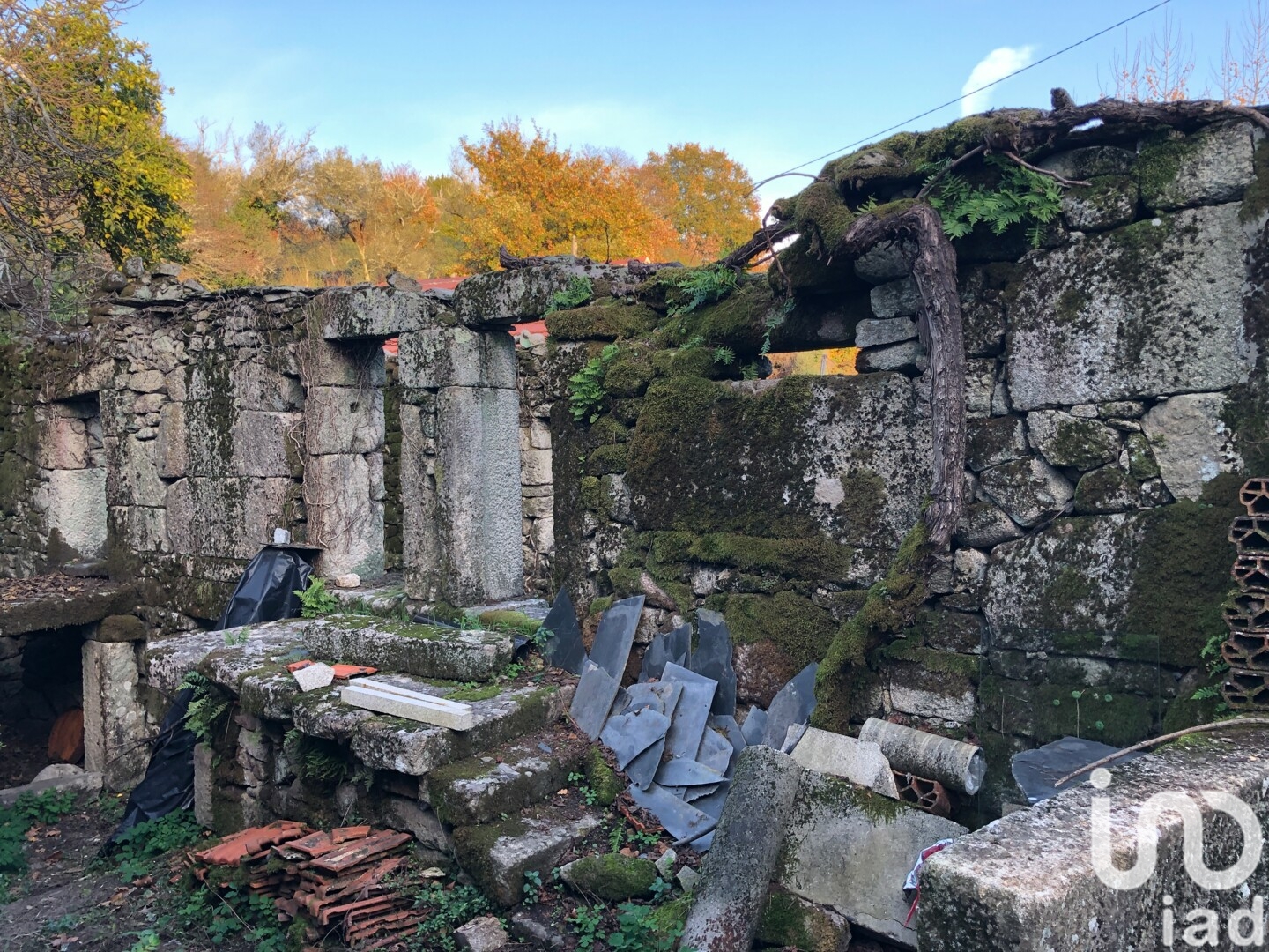 Moradia T4 à venda em Vilar de Ferreiros, Mondim de Basto — foto 16