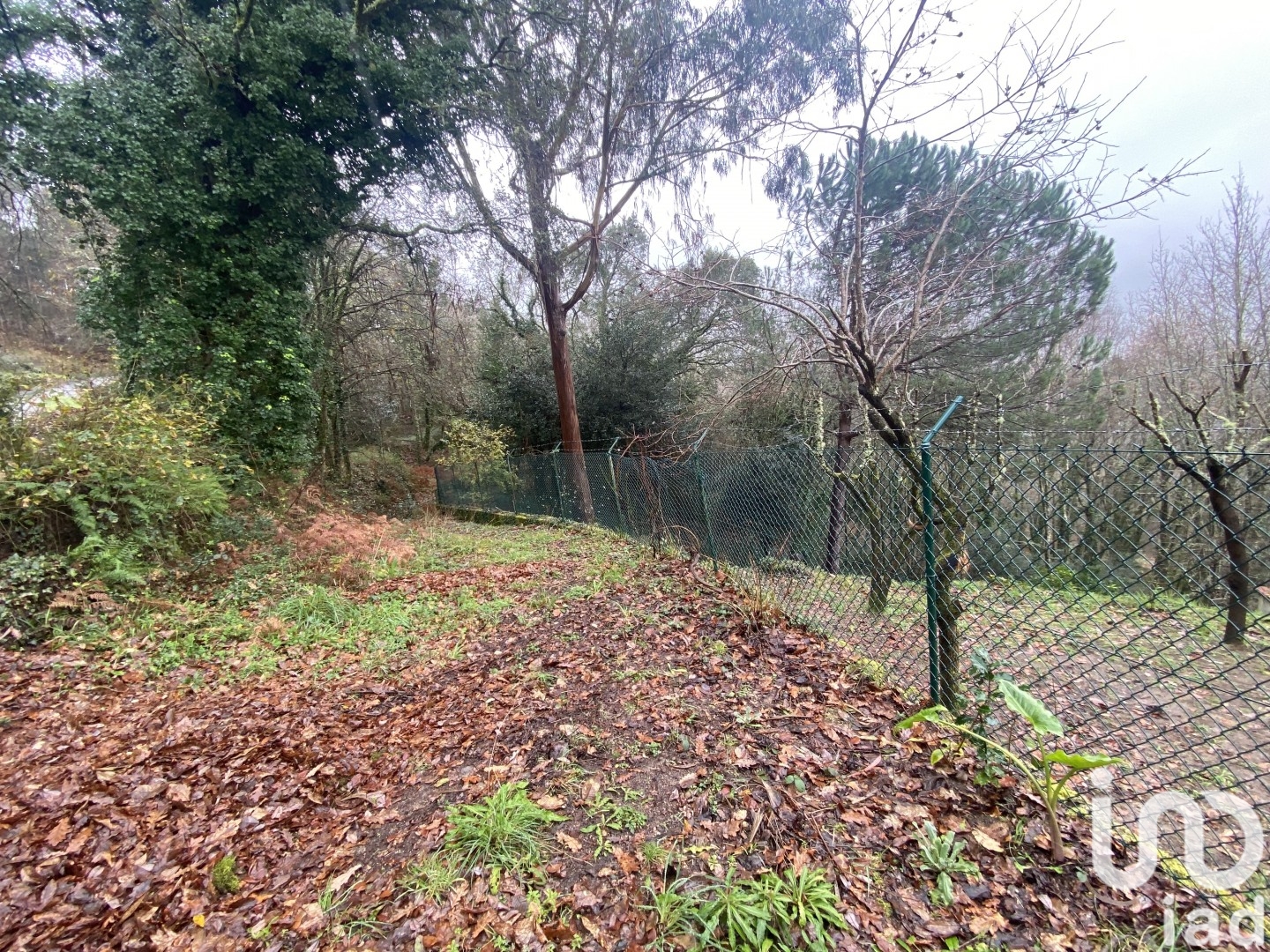 Moradia T6+ à venda em Covas, Vila Nova de Cerveira — foto 20