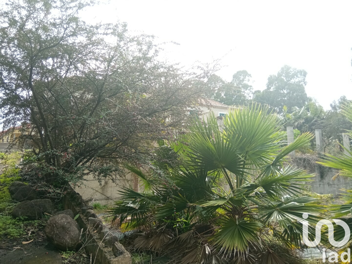 Moradia T3 à venda em São Jorge, Santana — foto 21