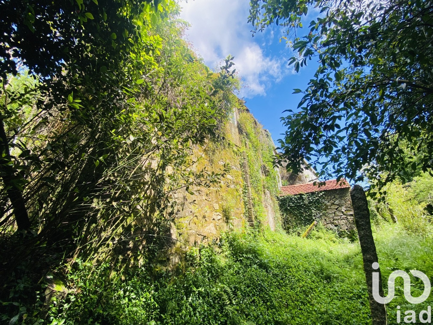 Moradia T6+ à venda em Candemil e Gondar, Vila Nova de Cerveira — foto 19