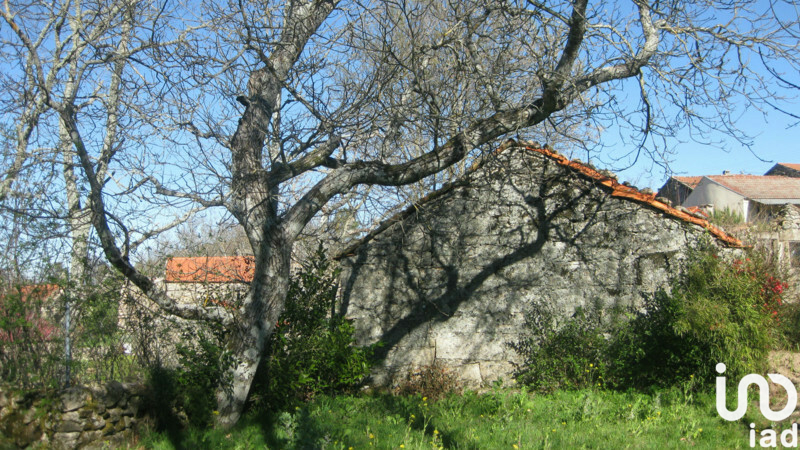 Moradia T1 à venda em Pousafoles do Bispo, Pena Lobo e Lomba, Sabugal — foto 12