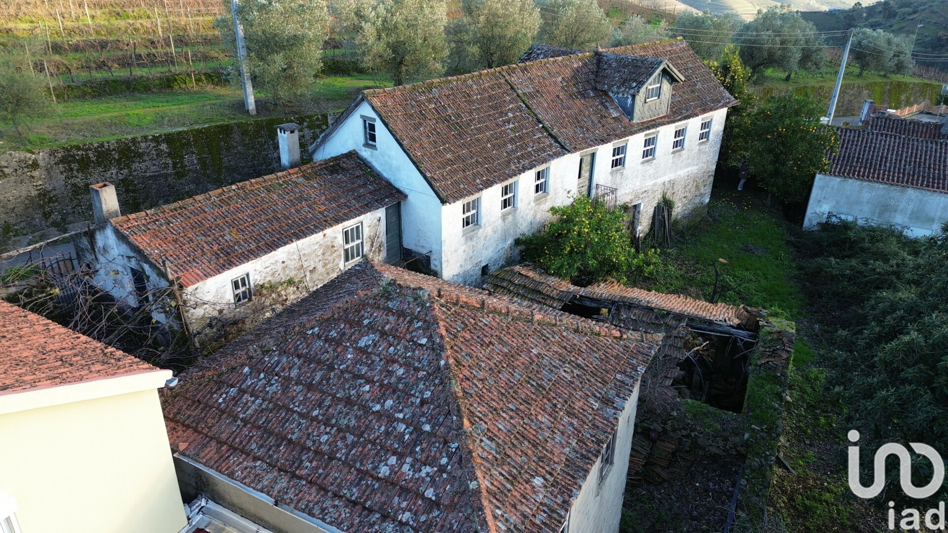 Moradia T3 à venda em Lobrigos (São Miguel e São João Baptista) e Sanhoane, Santa Marta de Penaguião — foto 4