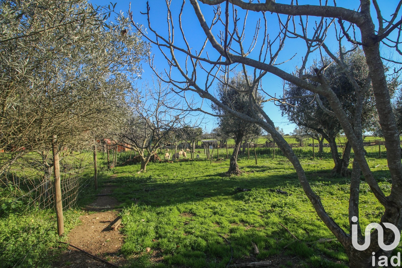 Moradia T0 à venda em Ameixial (Santa Vitória e São Bento), Estremoz — foto 15