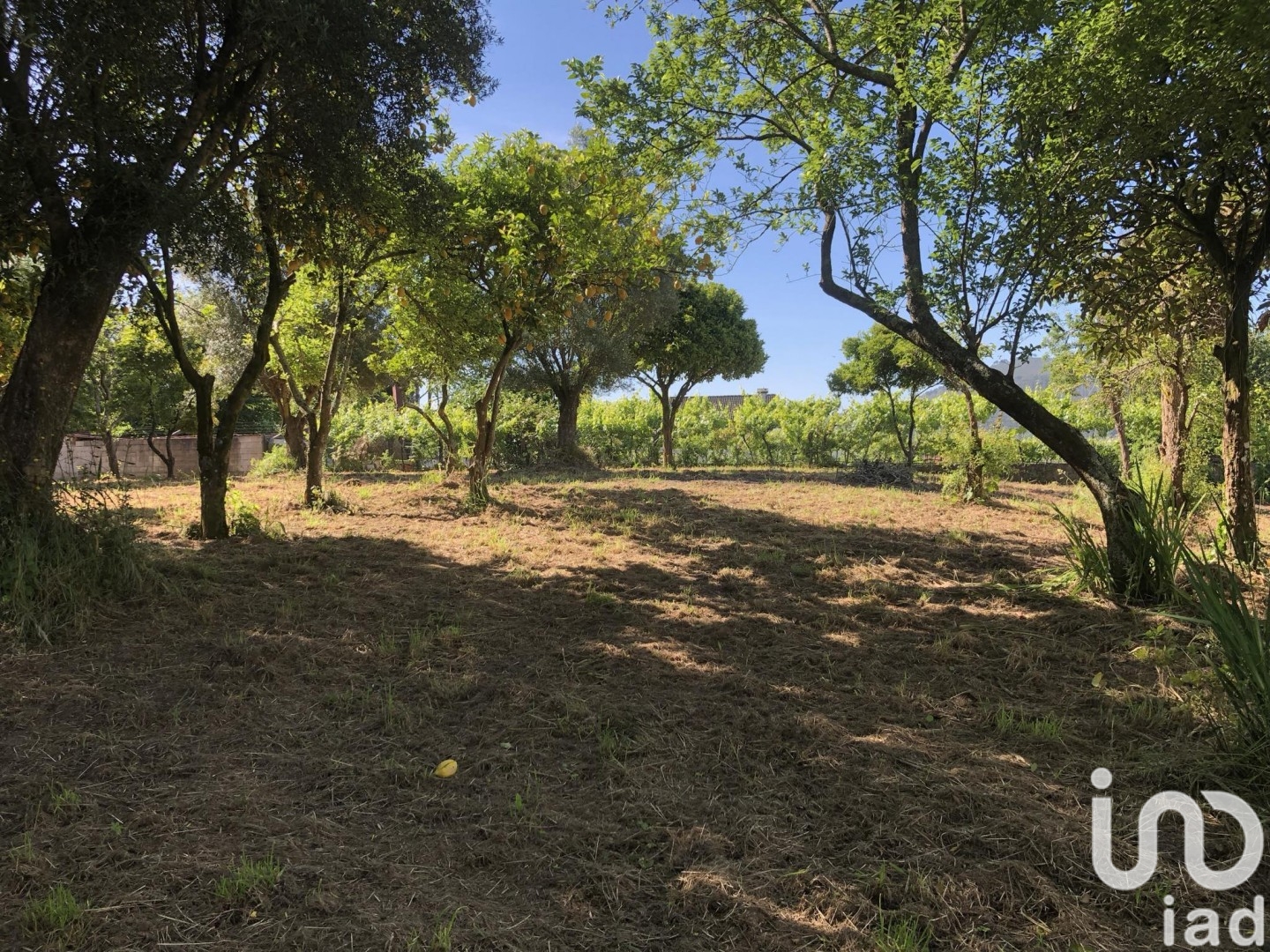 Moradia T3 à venda em Correlhã, Ponte de Lima — foto 21