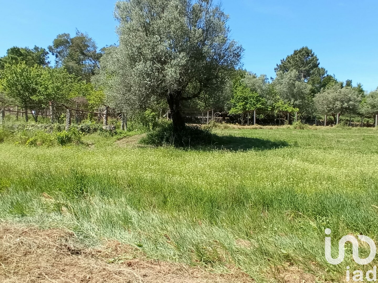 Moradia T2 à venda em Cardielos e Serreleis, Viana do Castelo — foto 18