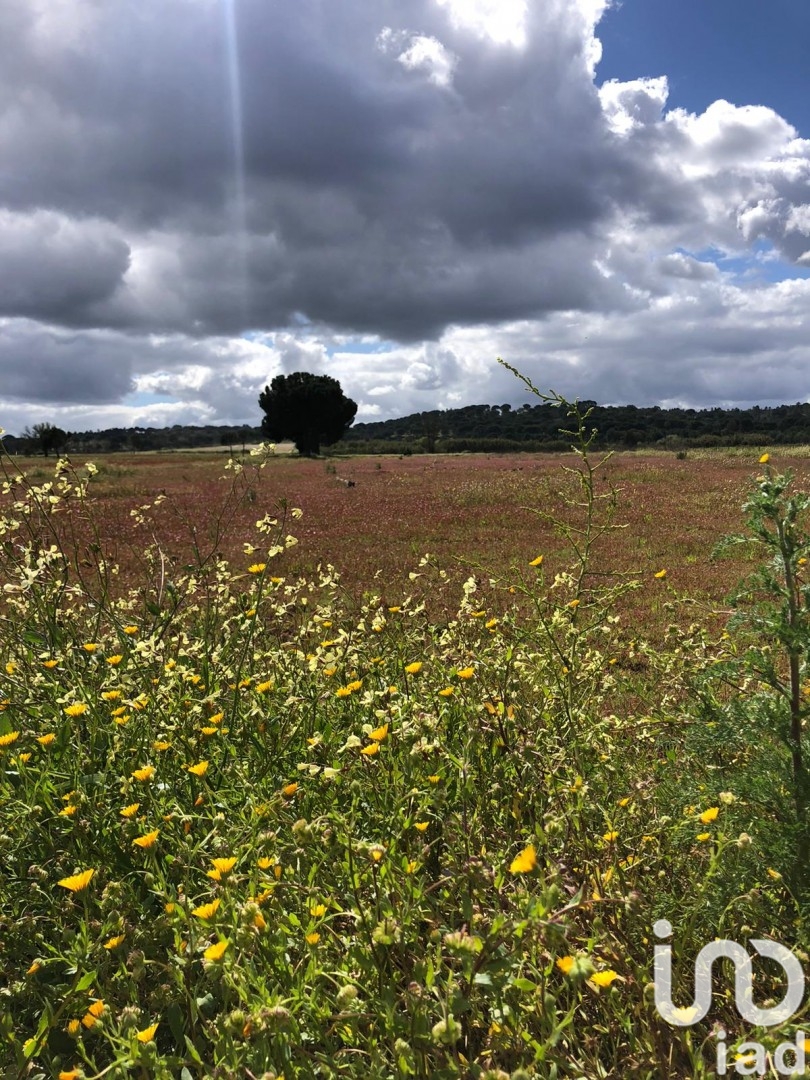 Moradia T3 à venda em Couço, Coruche — foto 10