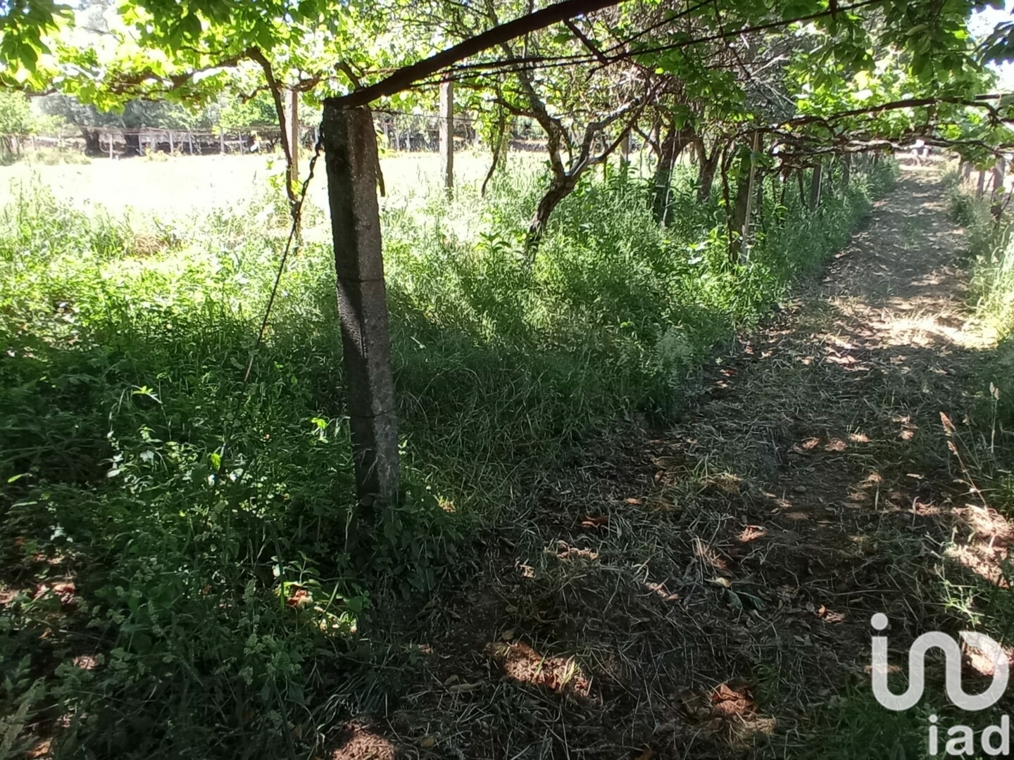 Moradia T2 à venda em Cardielos e Serreleis, Viana do Castelo — foto 12