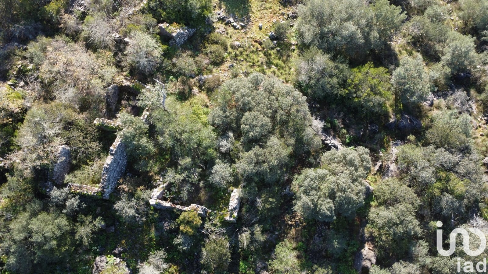 Moradia T0 à venda em Freixianda, Ribeira do Fárrio e Formigais, Ourém — foto 8