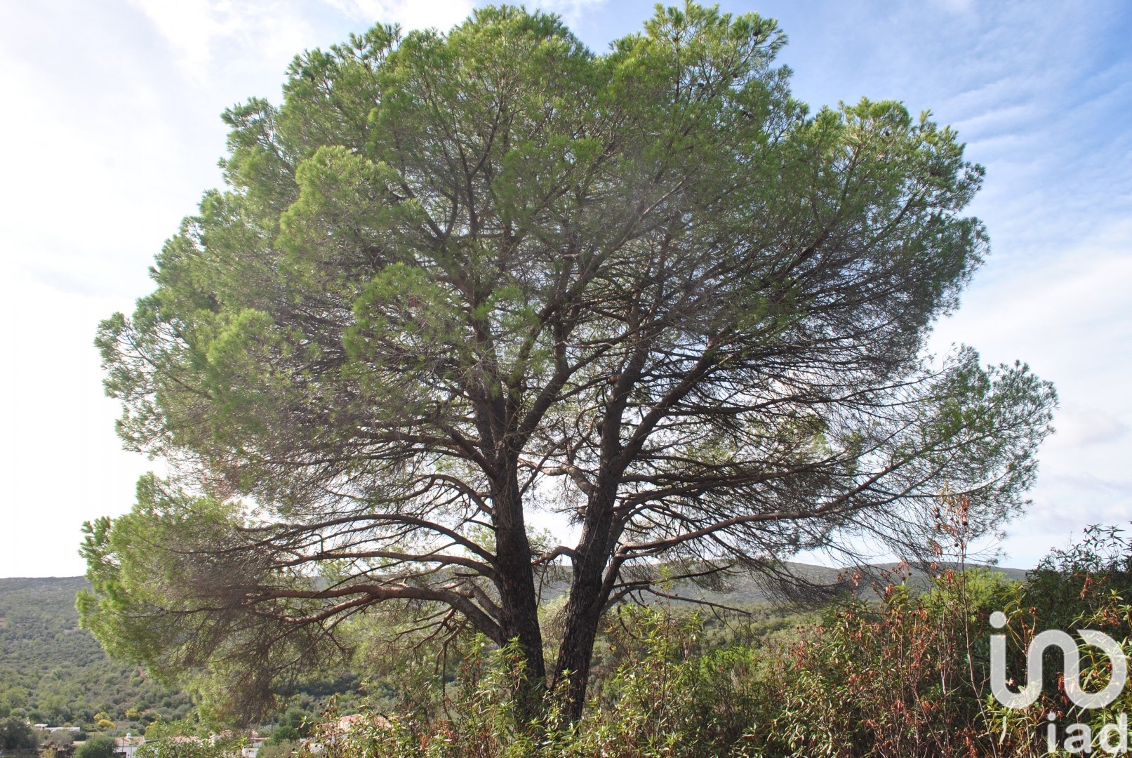 Moradia T0 à venda em Querença, Tôr e Benafim, Loulé — foto 6