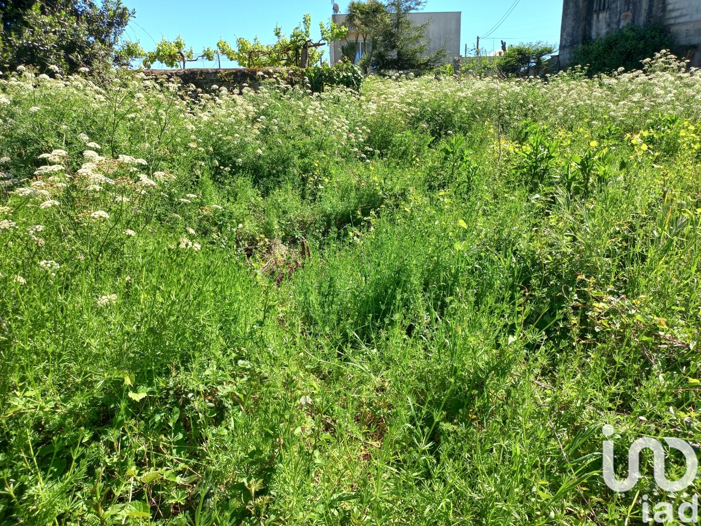 Moradia T0 à venda em Arcozelo, Barcelos — foto 15