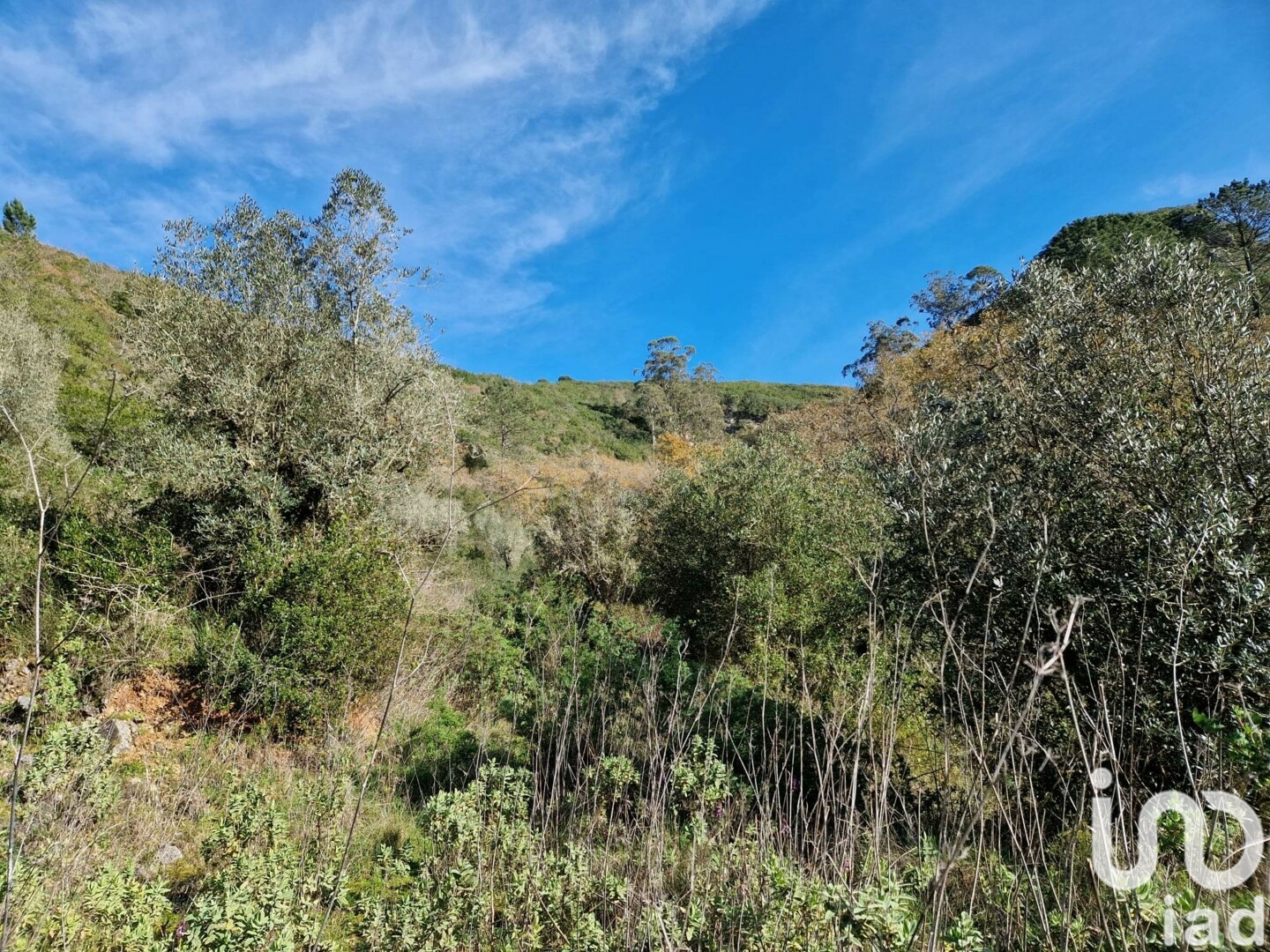 Moradia T0 à venda em Porto de Mós - São João Baptista e São Pedro, Porto de Mós — foto 3
