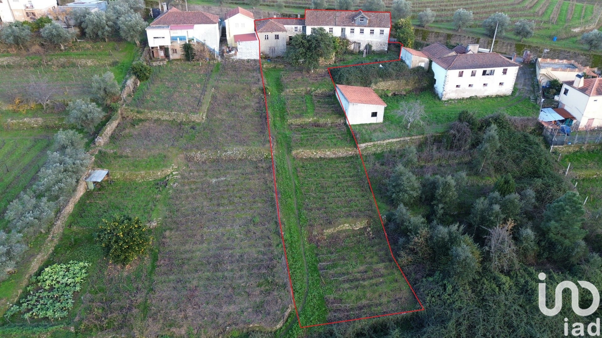 Moradia T3 à venda em Lobrigos (São Miguel e São João Baptista) e Sanhoane, Santa Marta de Penaguião — foto 2