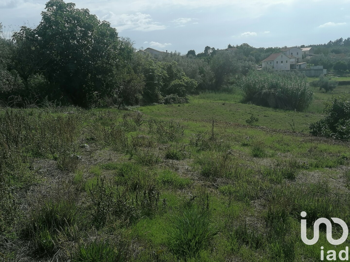 Moradia T0 à venda em Lamas, Miranda do Corvo — foto 27