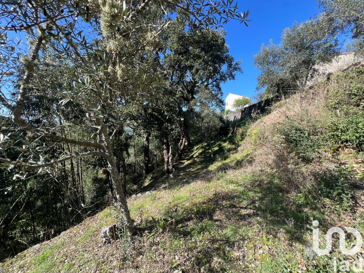 Moradia T0 à venda em Celavisa, Arganil — foto 6