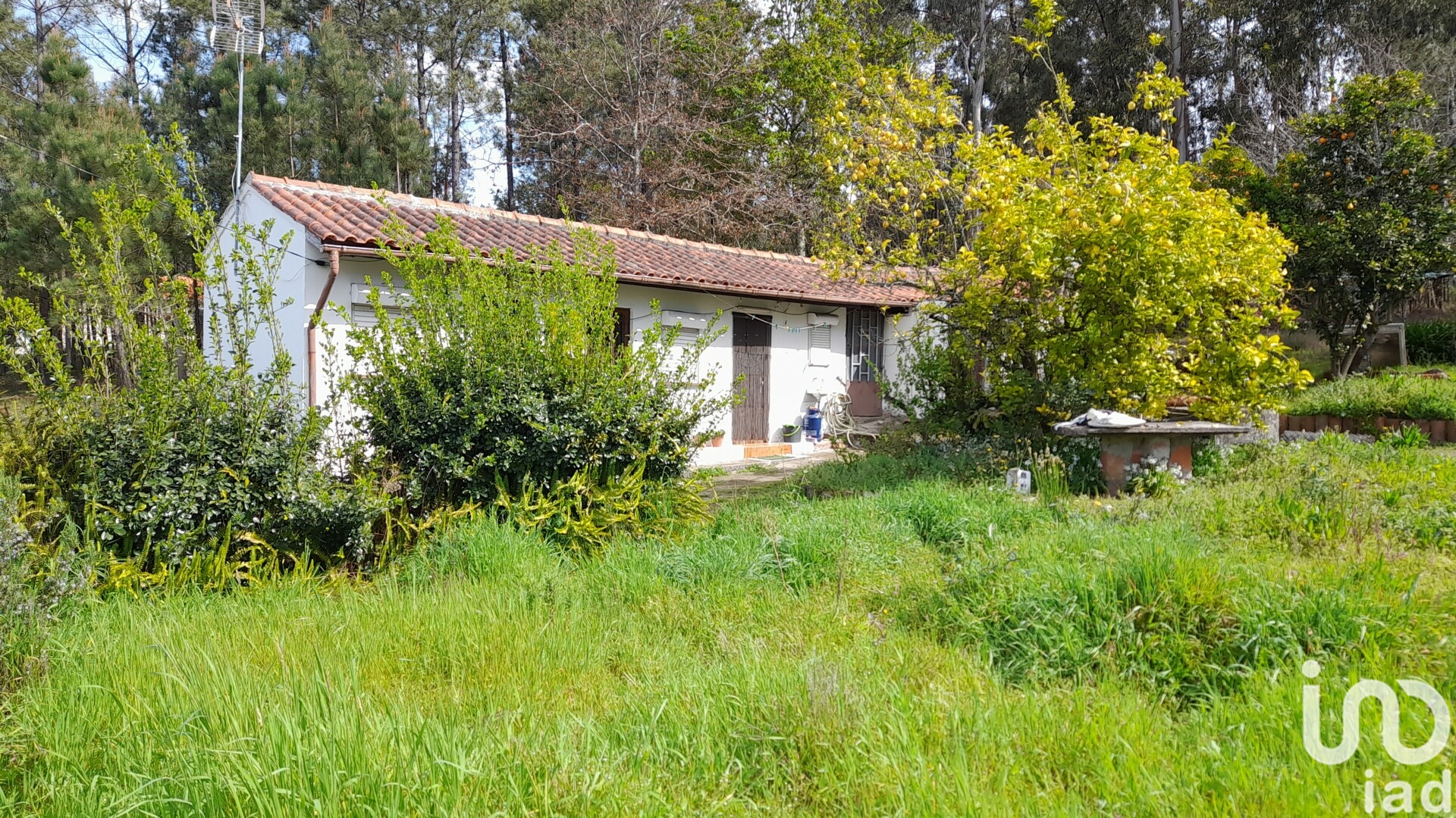 Moradia T3 à venda em Alheira e Igreja Nova, Barcelos — foto 3