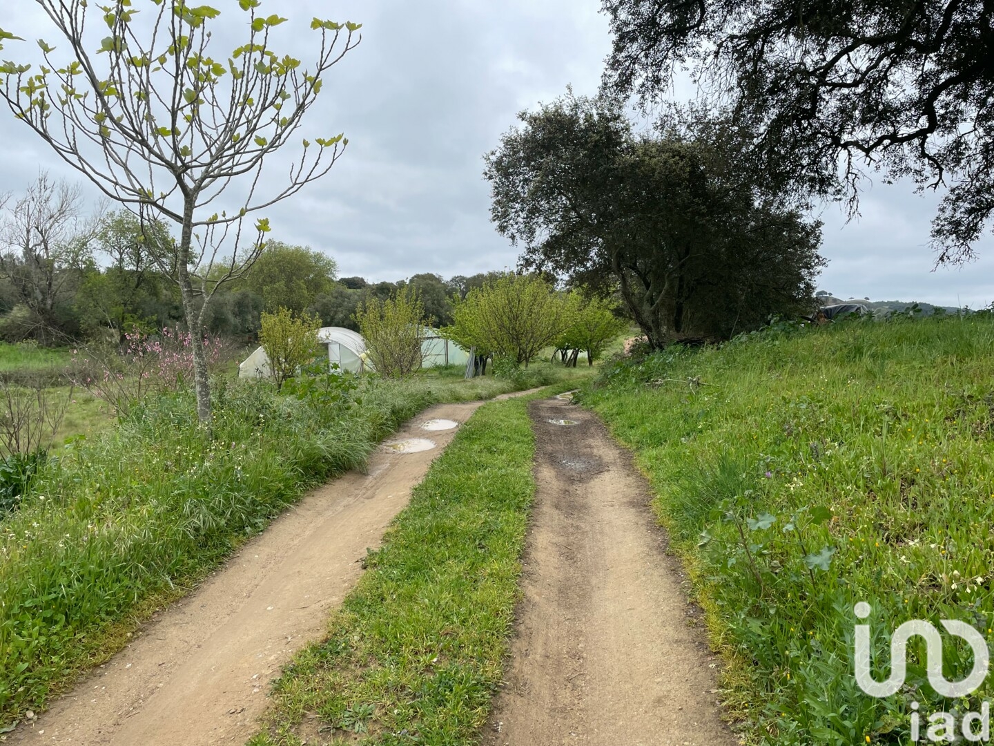 Moradia T6+ à venda em São Martinho das Amoreiras, Odemira — foto 3