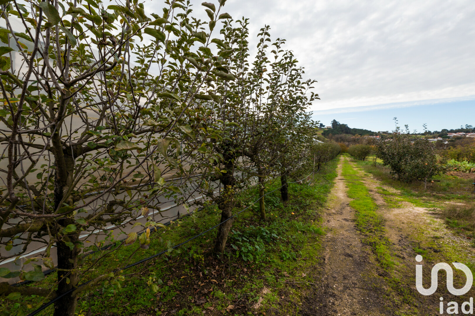 Moradia T1 à venda em Leiria, Pousos, Barreira e Cortes, Leiria — foto 2