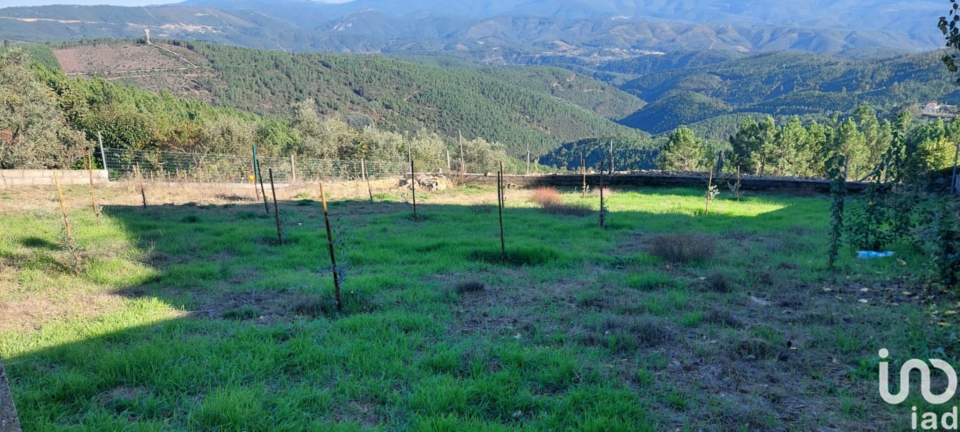 Moradia T4 à venda em Janeiro de Baixo, Pampilhosa da Serra — foto 3