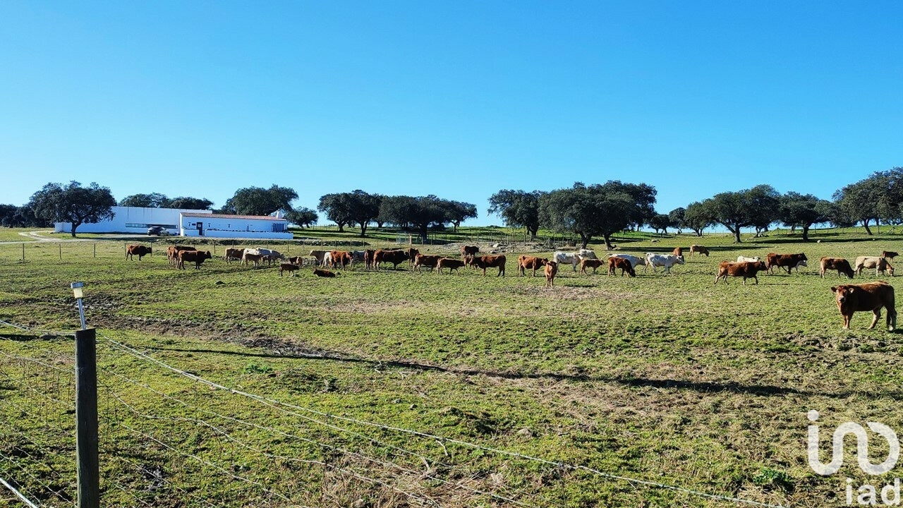 Moradia T6+ à venda em Terrugem E Vila Boim, Elvas — foto 24