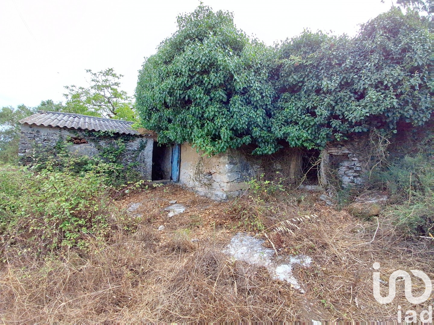 Moradia T2 à venda em Aljubarrota, Alcobaça — foto 9