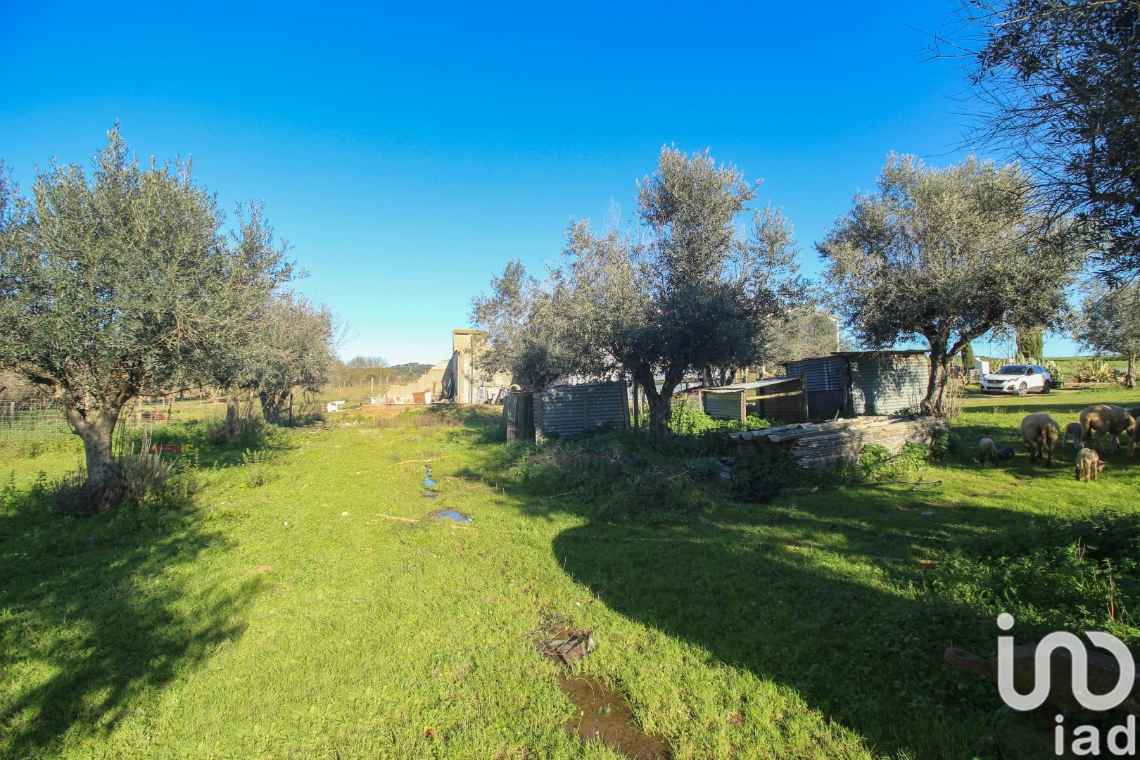 Moradia T0 à venda em Ameixial (Santa Vitória e São Bento), Estremoz — foto 13