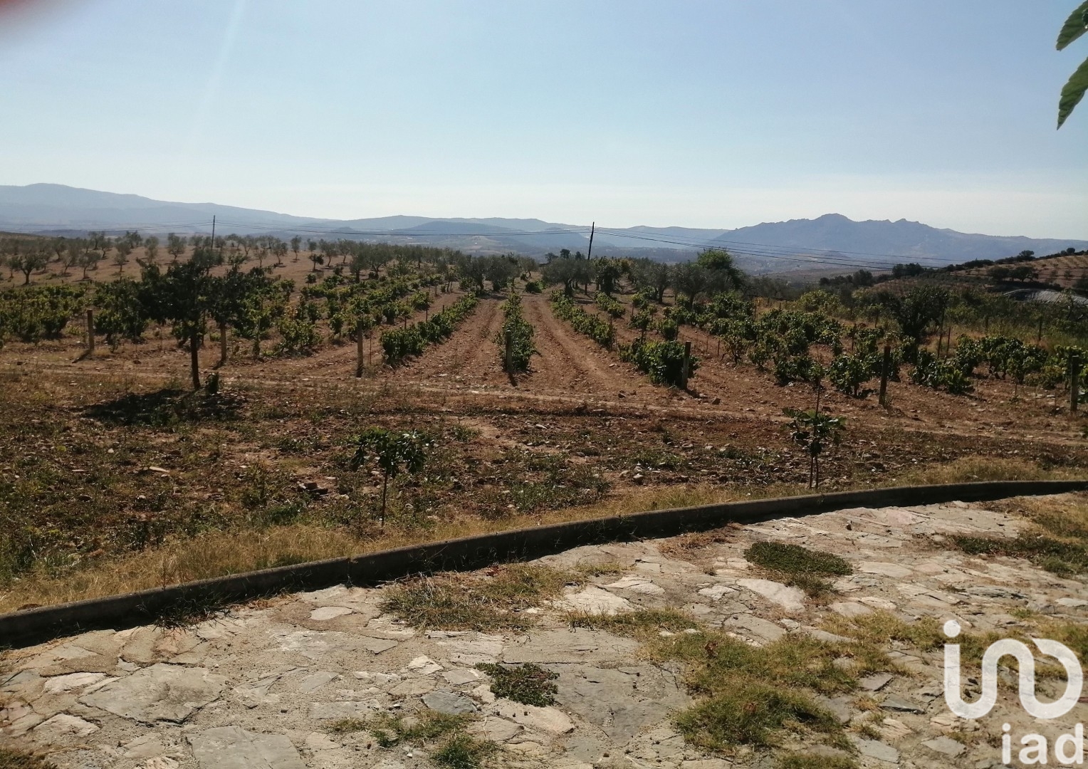 Moradia T4 à venda em Lamas de Orelhão, Mirandela — foto 10
