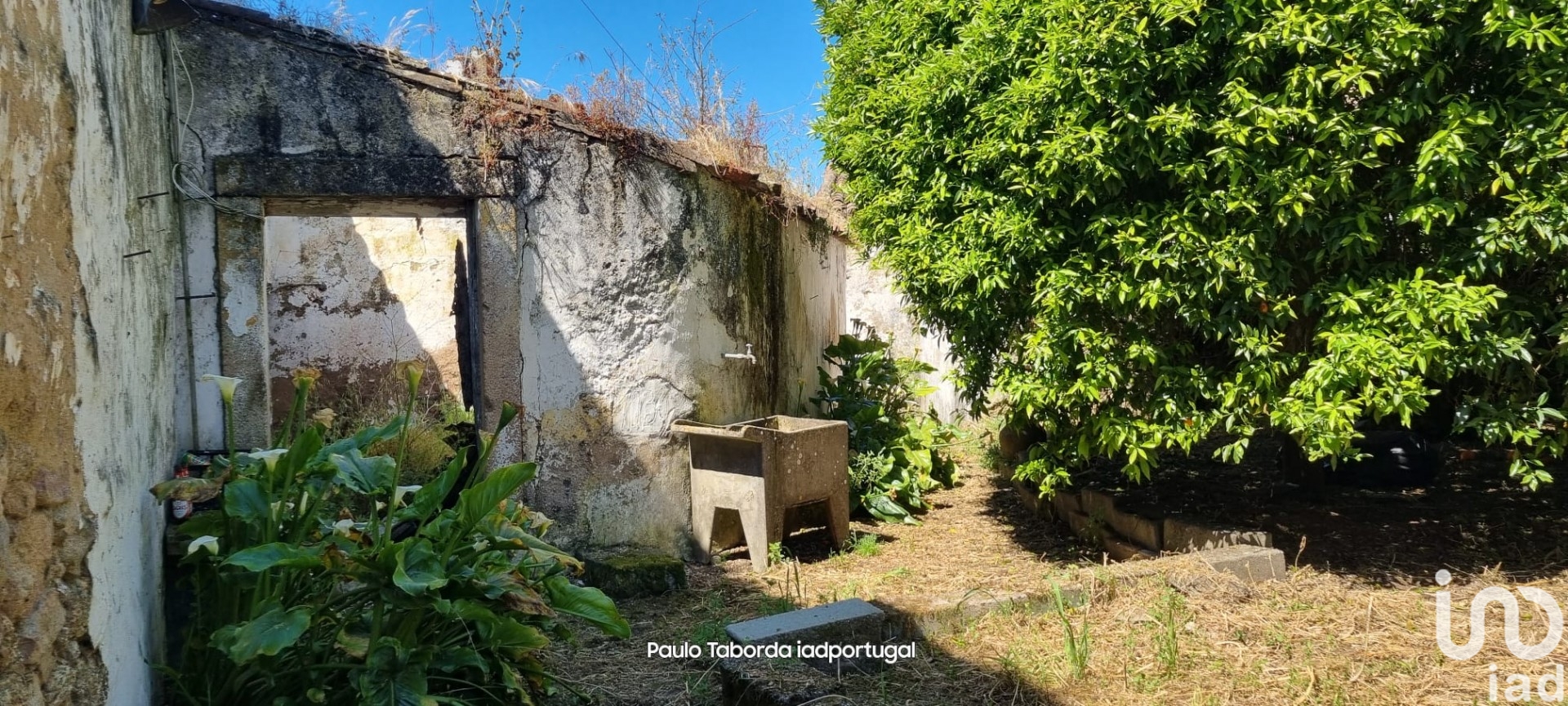 Moradia T6+ à venda em Alpalhão, Nisa — foto 8