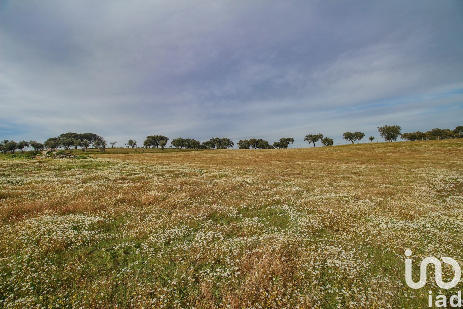 Moradia T2 à venda em Assunção, Arronches — foto 28