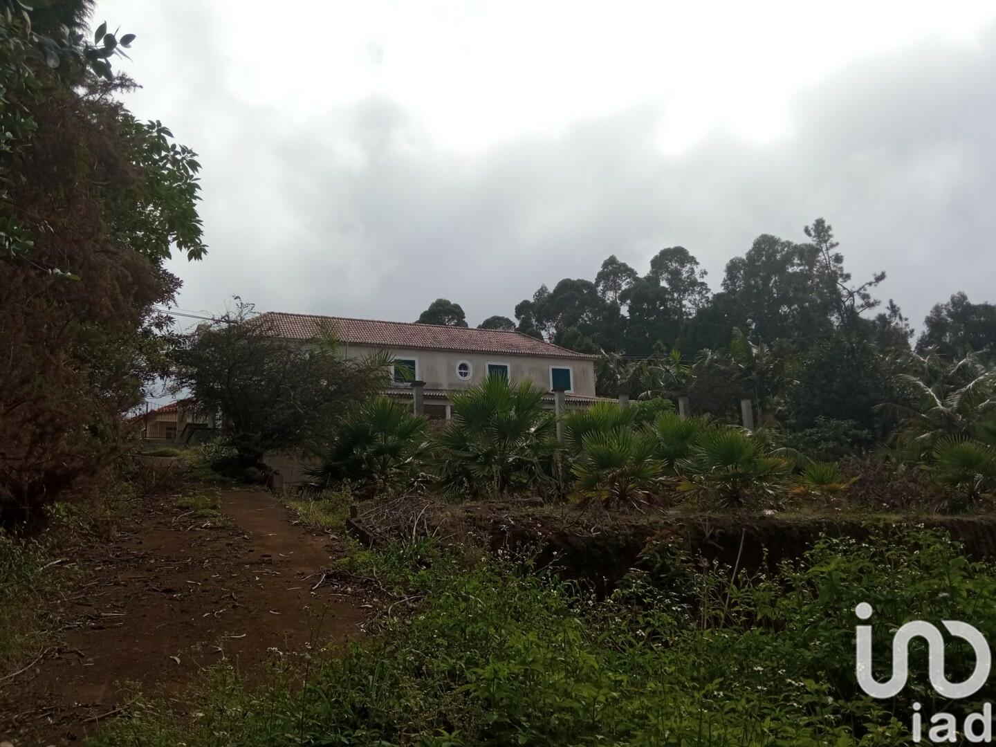 Moradia T3 à venda em São Jorge, Santana — foto 19