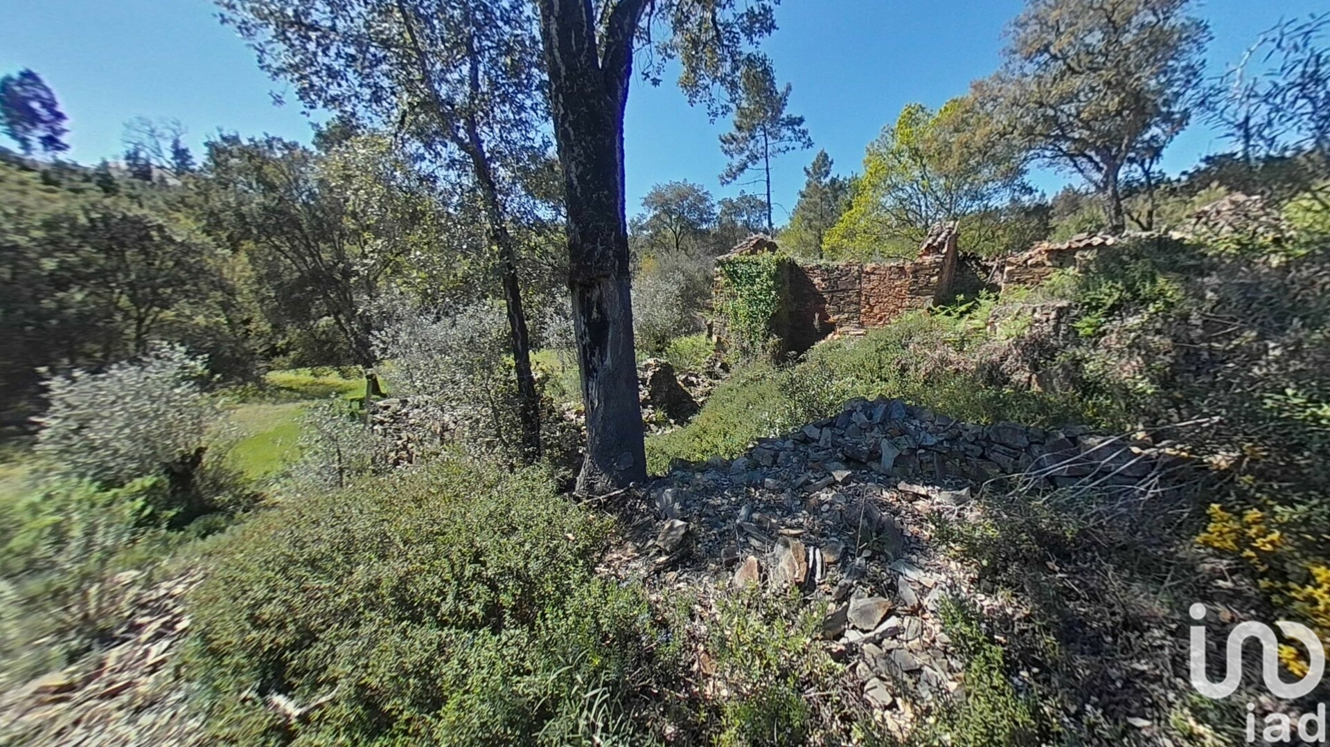 Moradia T0 à venda em Alvares, Góis — foto 13