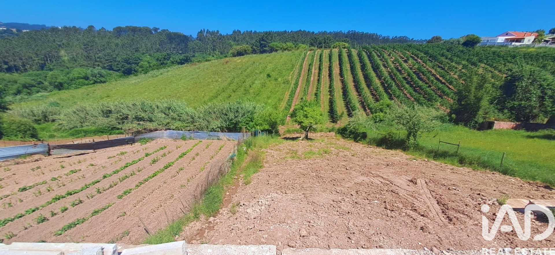 Moradia T3 à venda em Salir de Matos, Caldas da Rainha — foto 30