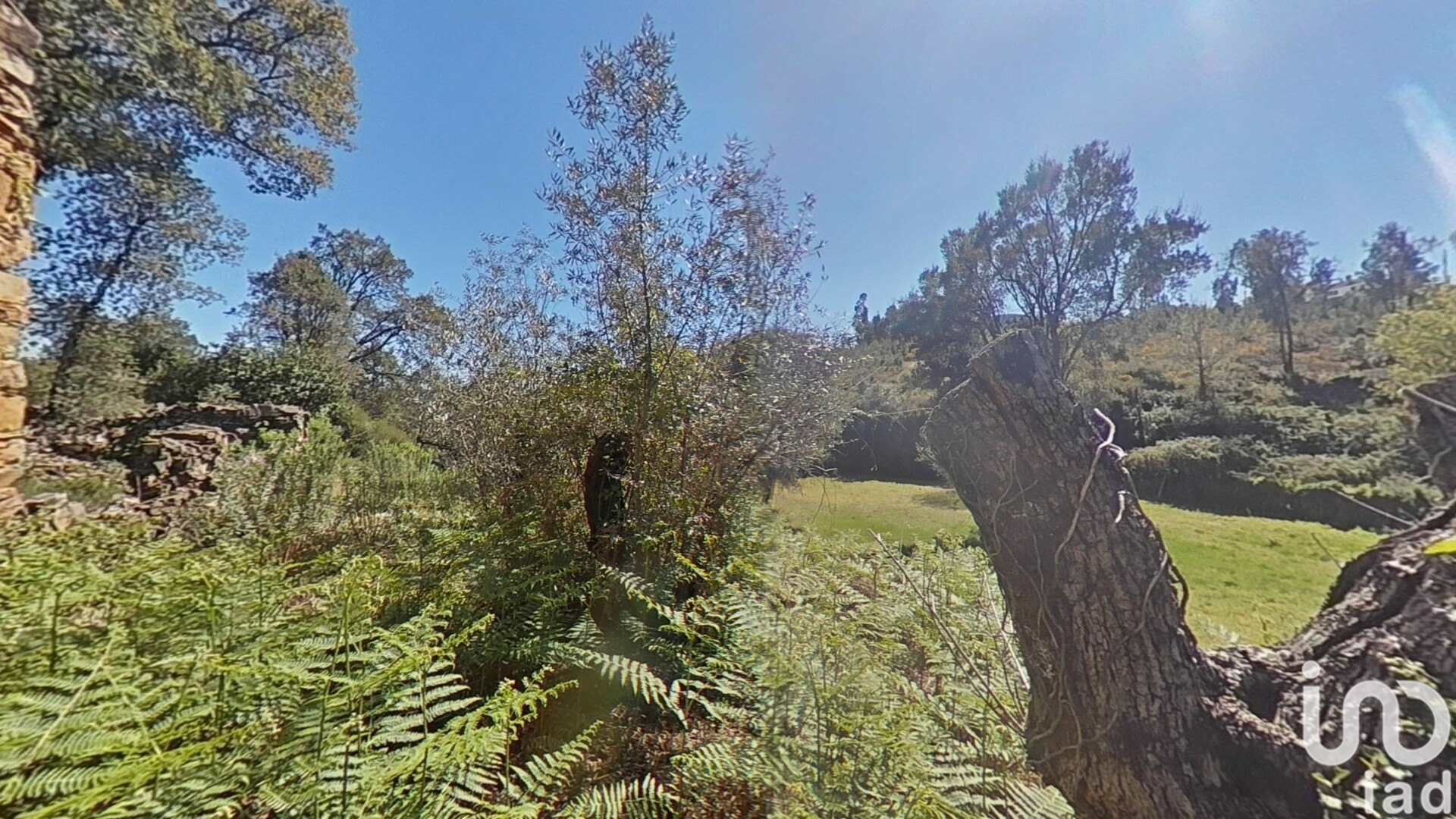 Moradia T0 à venda em Alvares, Góis — foto 19
