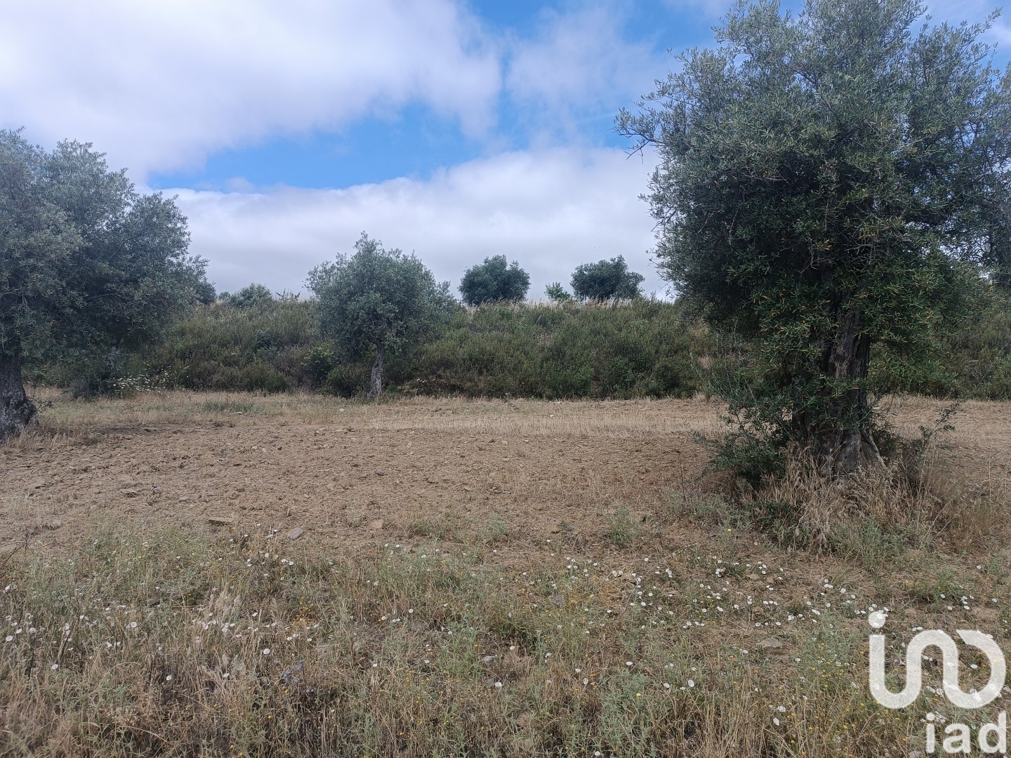 Moradia T2 à venda em Lagoa, Macedo de Cavaleiros — foto 12