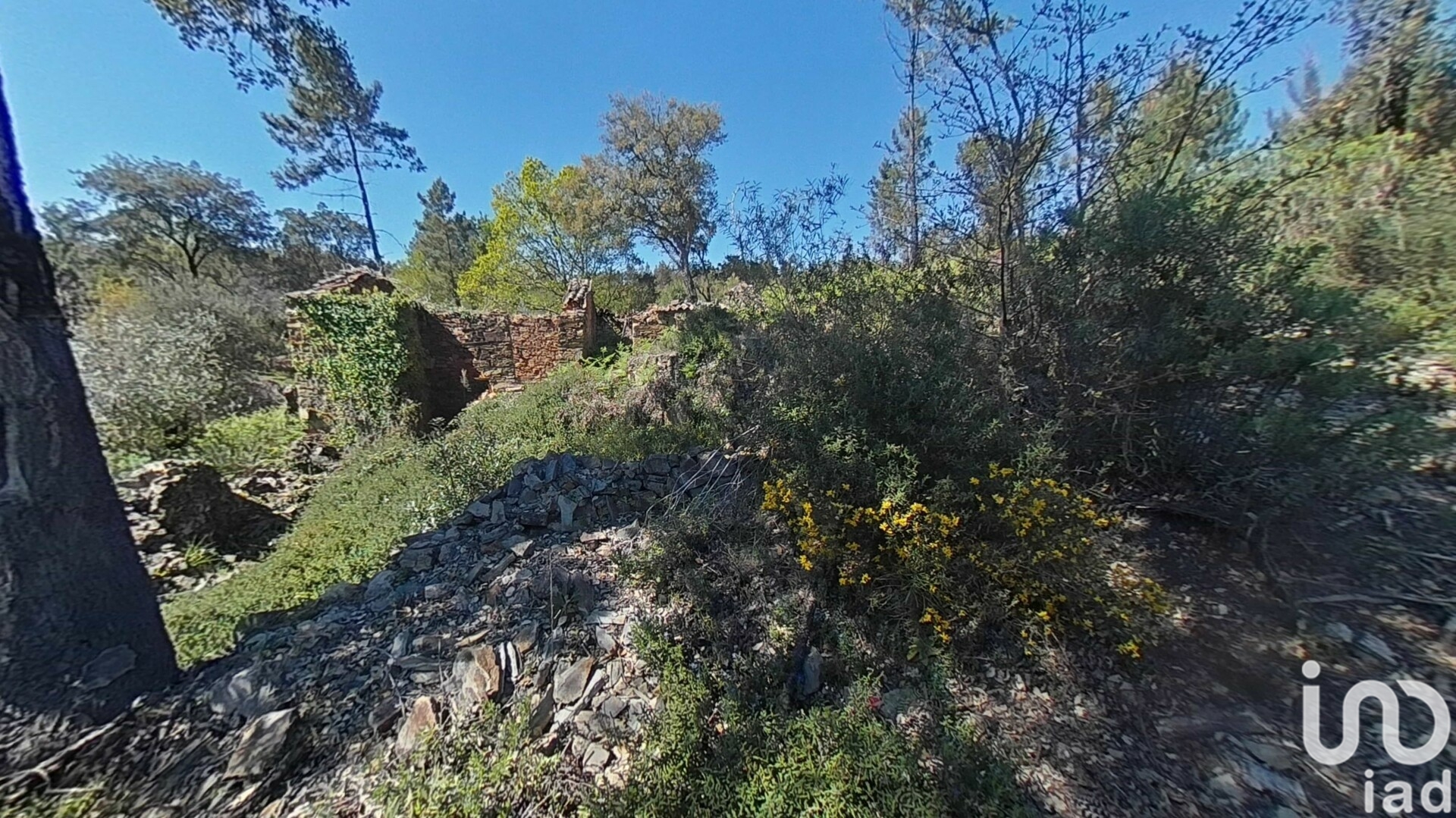 Moradia T0 à venda em Alvares, Góis — foto 14