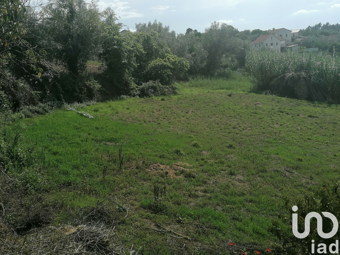 Moradia T0 à venda em Lamas, Miranda do Corvo — foto 18