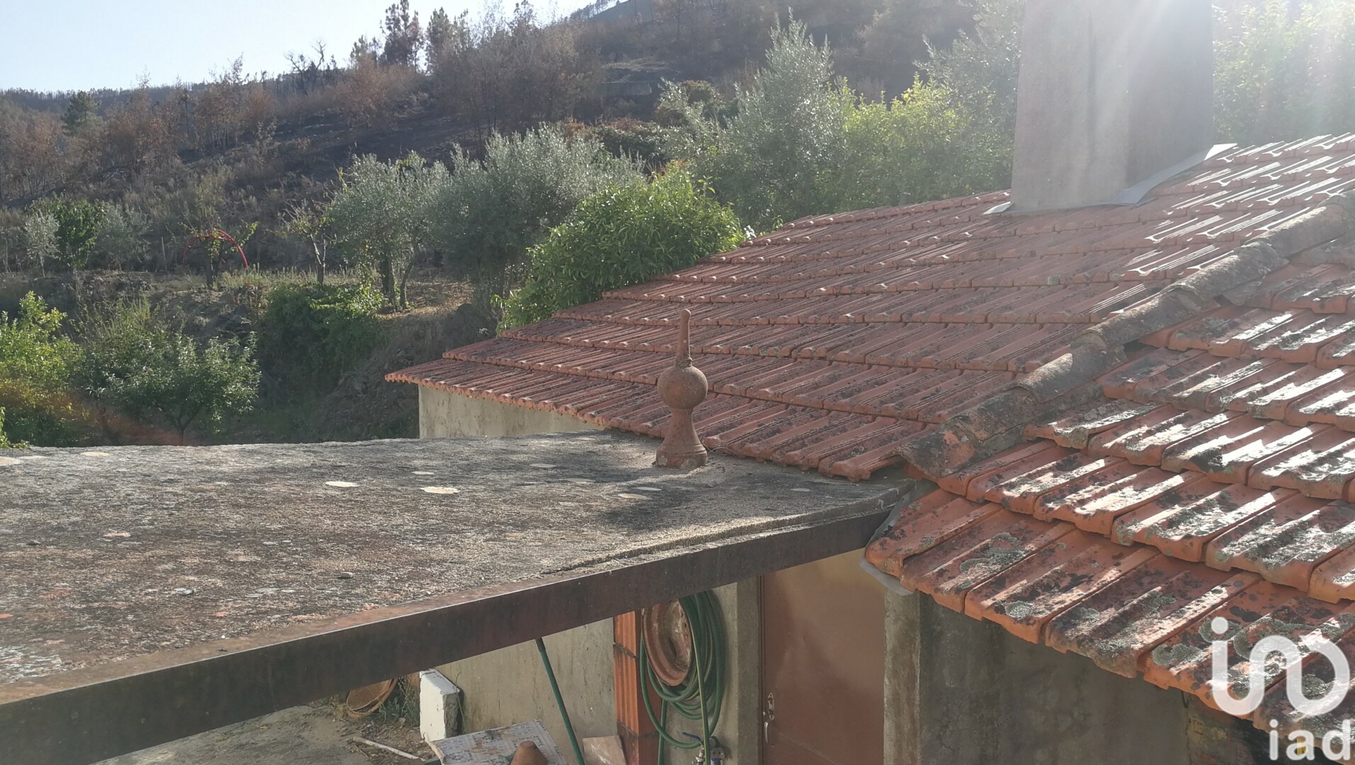 Moradia T4 à venda em Montes da Senhora, Proença-a-Nova — foto 25