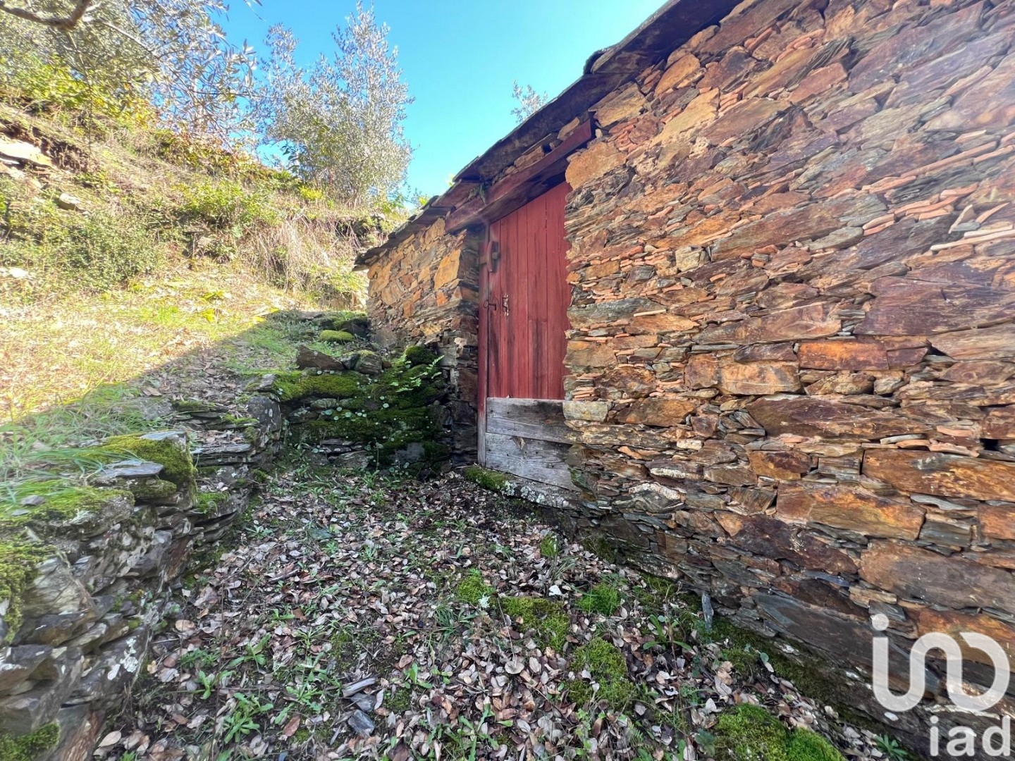 Moradia T0 à venda em Celavisa, Arganil — foto 3