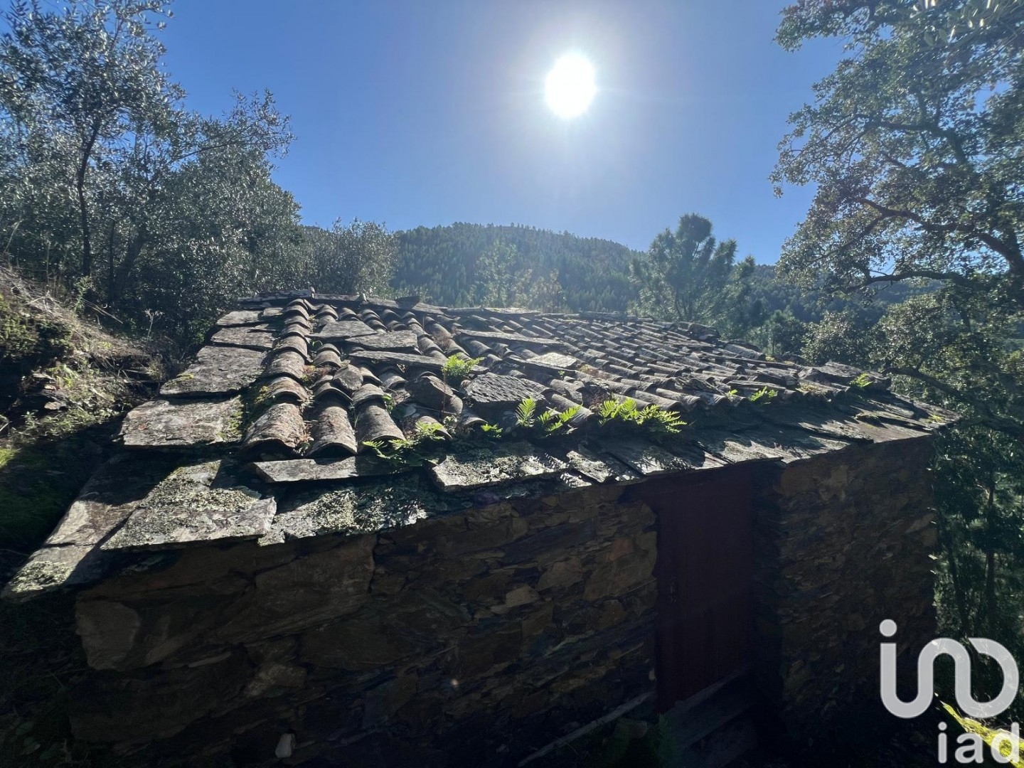 Moradia T0 à venda em Celavisa, Arganil — foto 10