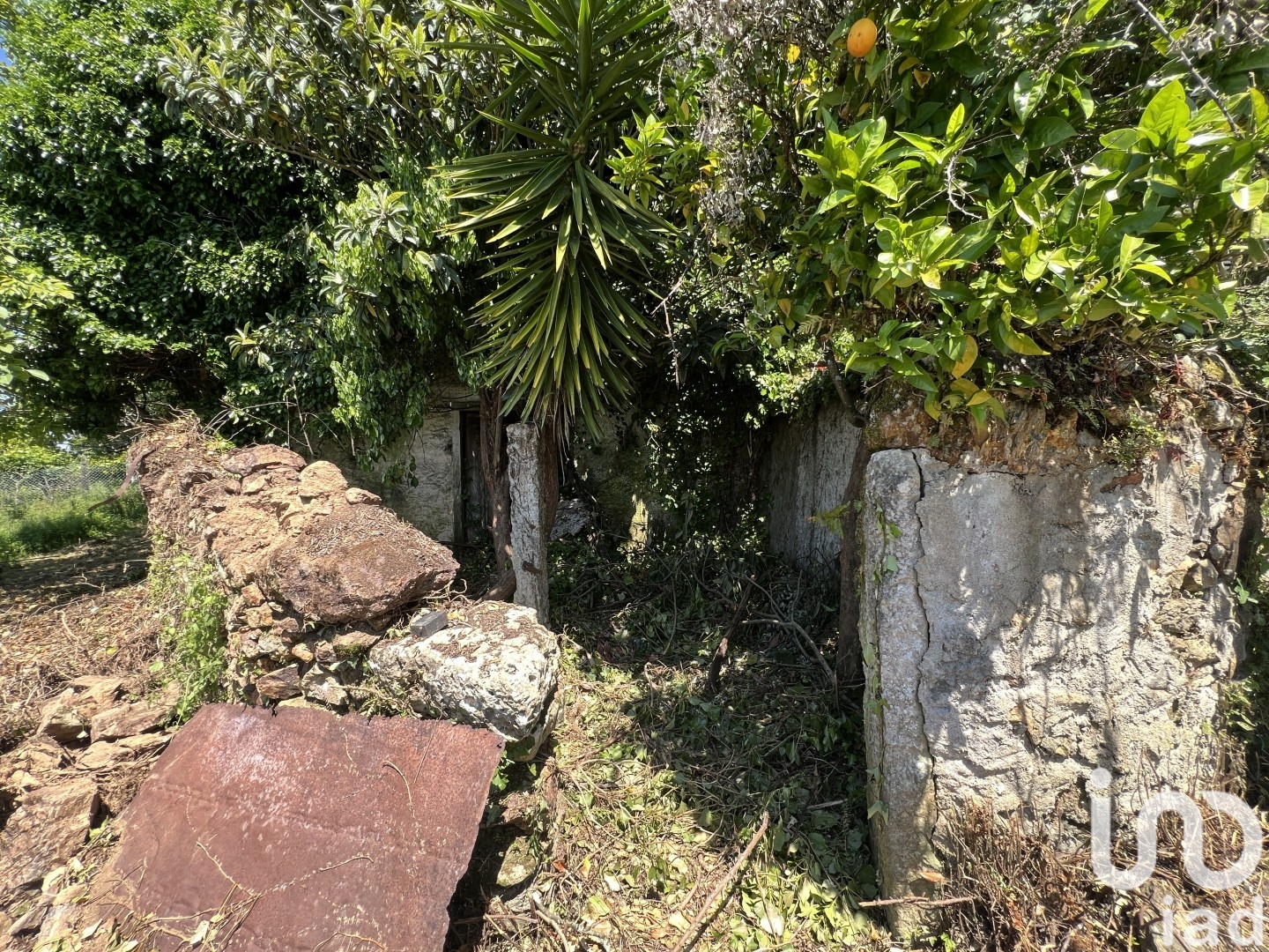 Moradia T0 à venda em São Miguel, Santa Eufémia e Rabaçal, Penela — foto 6