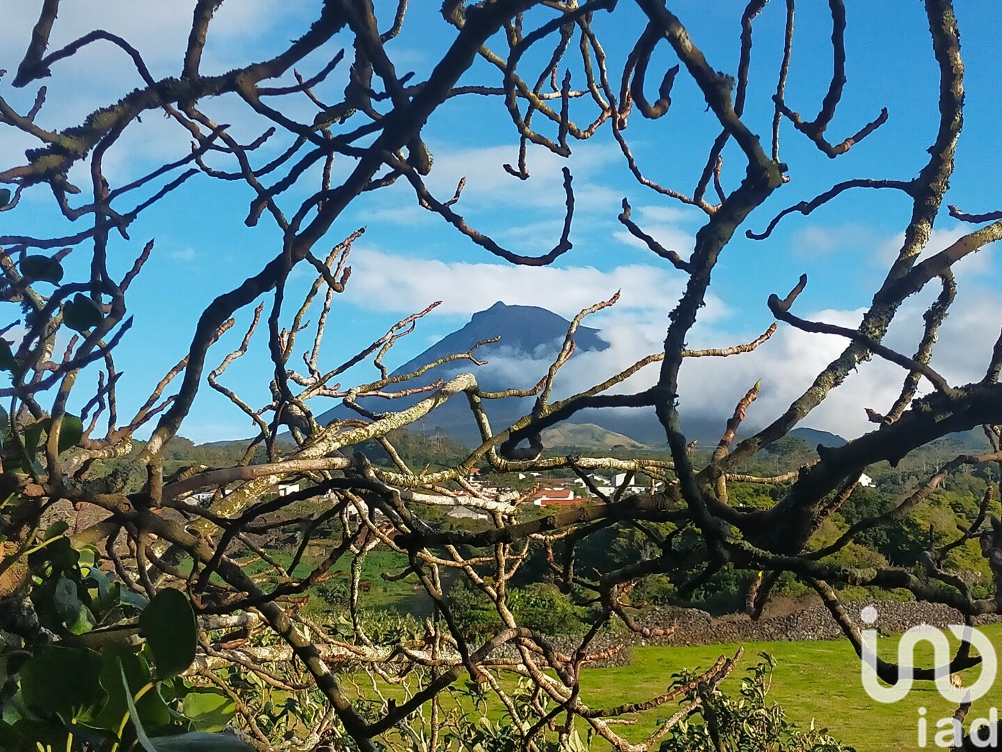 Moradia T0 à venda em Criação Velha, Madalena — foto 19