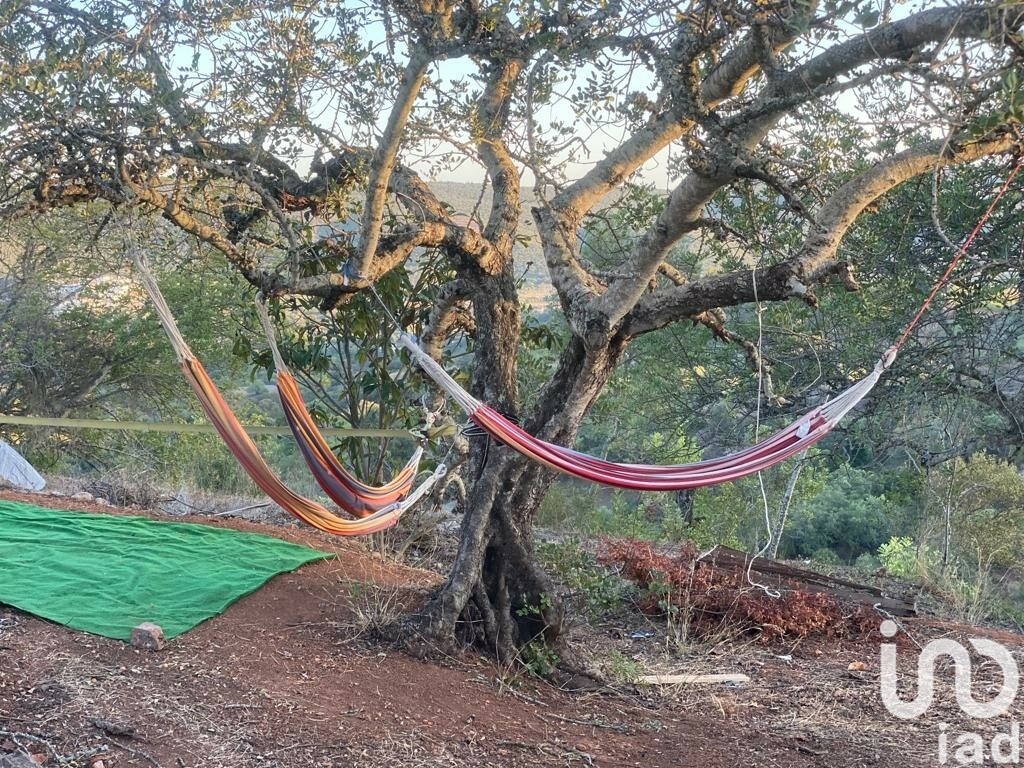 Moradia T1 à venda em Querença, Tôr e Benafim, Loulé — foto 10