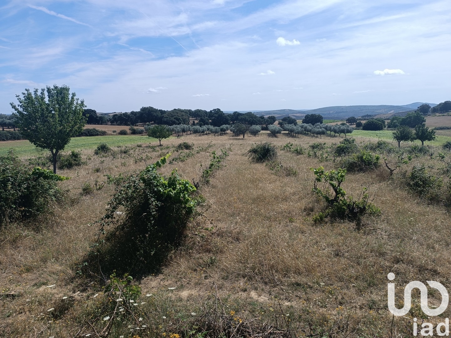 Moradia T2 à venda em Lagoa, Macedo de Cavaleiros — foto 15