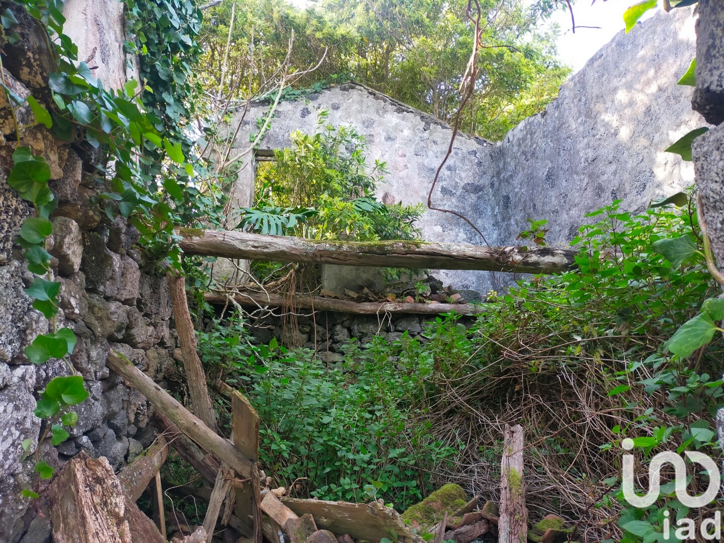Moradia T0 à venda em Criação Velha, Madalena — foto 15