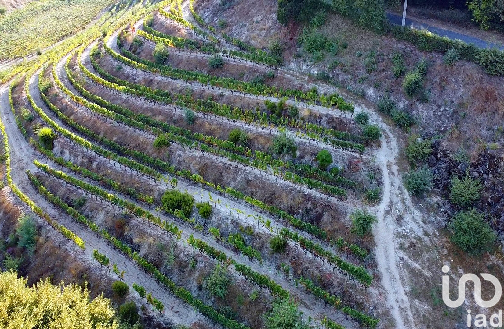 Moradia T6+ à venda em Parada de Gonta, Tondela — foto 22
