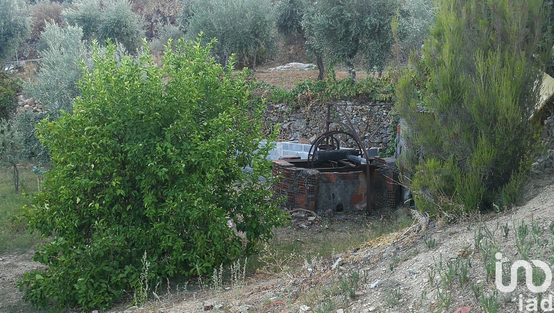 Moradia T4 à venda em Montes da Senhora, Proença-a-Nova — foto 21