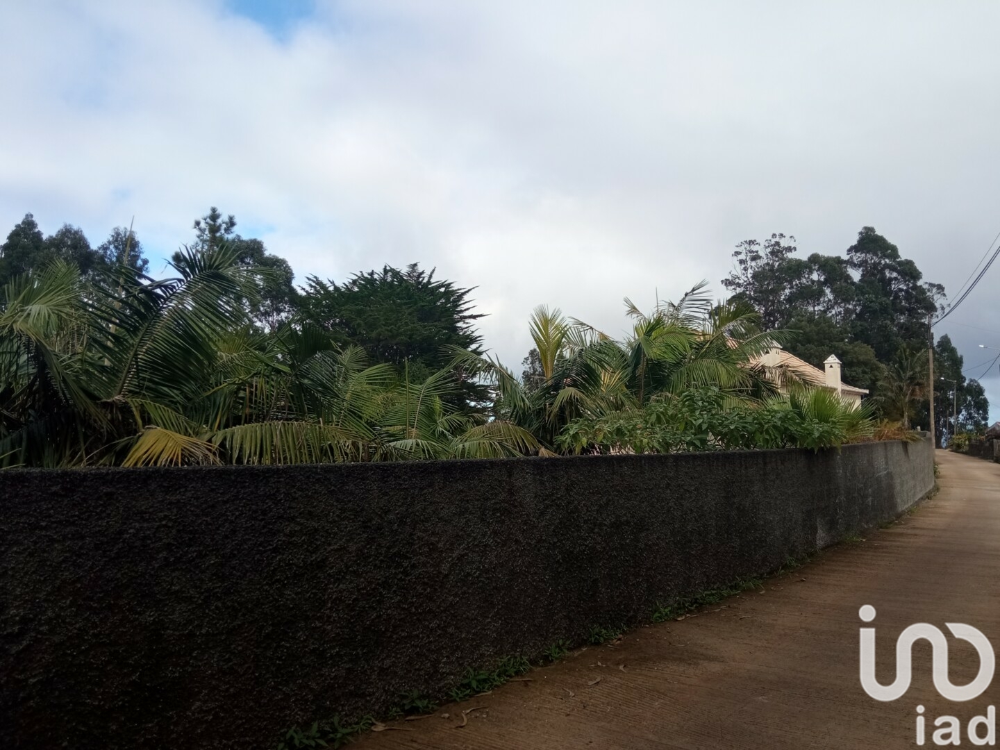 Moradia T3 à venda em São Jorge, Santana — foto 25