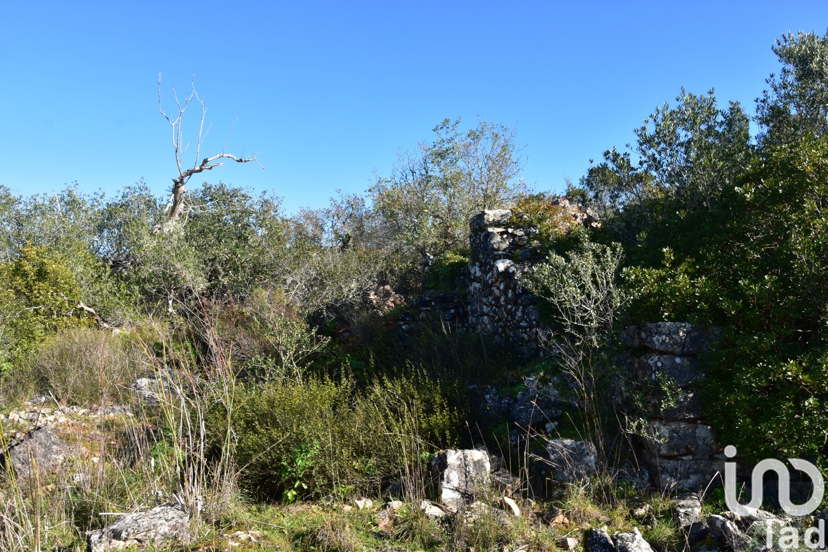 Moradia T0 à venda em Freixianda, Ribeira do Fárrio e Formigais, Ourém — foto 11