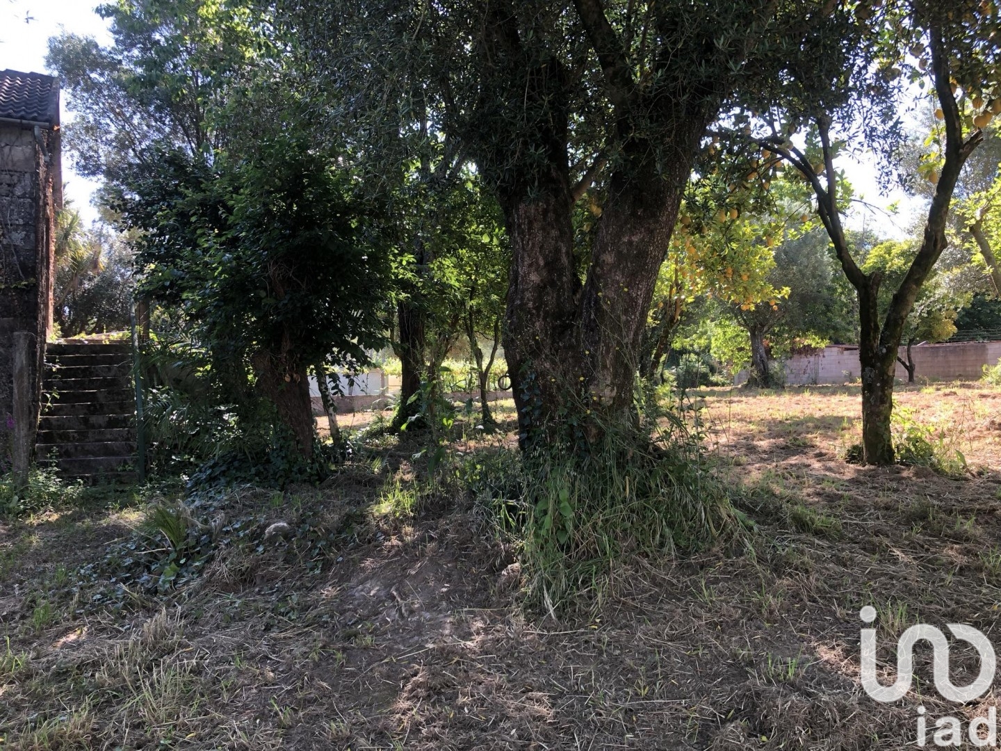 Moradia T3 à venda em Correlhã, Ponte de Lima — foto 19